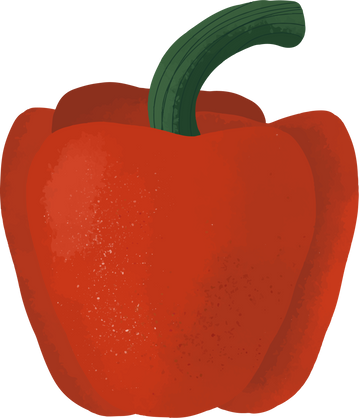 Organic Hand drawn Red Pepper