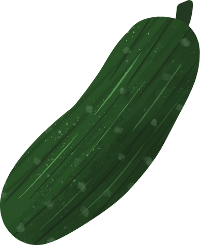 Organic Hand drawn Cucumber